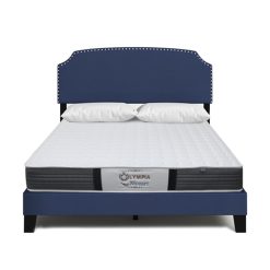 2932 dem lo xo olympia mozart 13