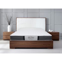 2932 dem lo xo olympia mozart 14