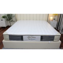 2932 dem lo xo olympia mozart 2