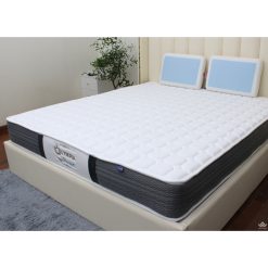 2932 dem lo xo olympia mozart 4