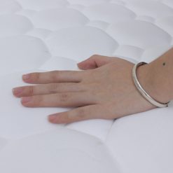 2932 dem lo xo olympia mozart 6