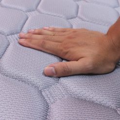 dem foam olympia pandora c