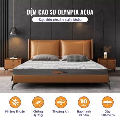 dem cao su olympia aqua a