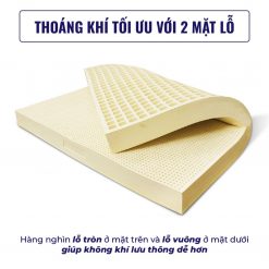 dem cao su olympia aqua c