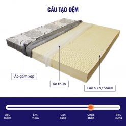 dem cao su olympia aqua d