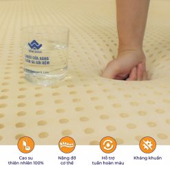 dem cao su olympia aqua g