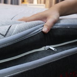 dem olympia alexander d