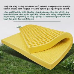 8938 dem cao su olympia aqua massage 3